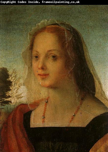 Rosso Fiorentino Portrait of a Young Woman